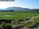 Arrozales de Calasparra